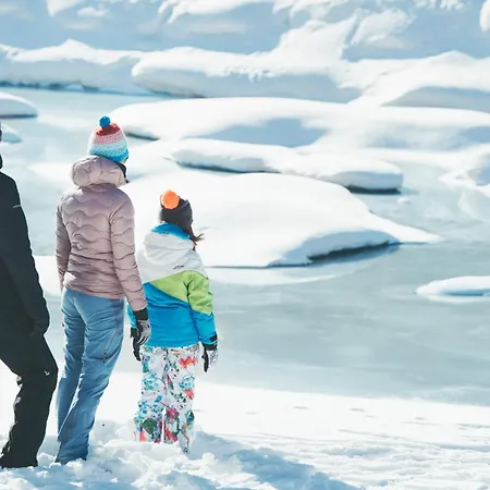 Шале Mountain Getaway - Exclusive Mega Stubai Super Card