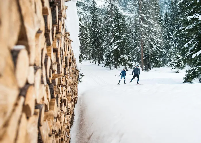 Doug's Mountain Getaway - 'exclusive Mega Chalet' Chalet