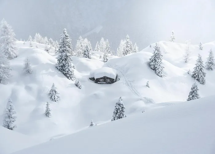 Doug's Mountain Getaway - 'exclusive Mega Chalet' Chalet *