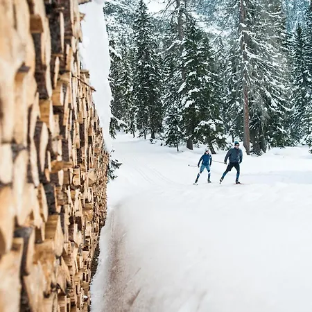 Doug's Mountain Getaway - 'exclusive Mega Chalet' Alpesi faház